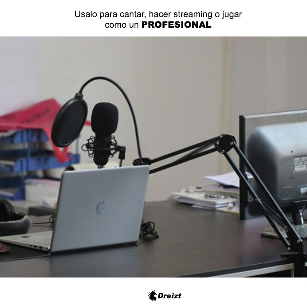 Micrófono Profesional Condensador Dreizt Bm800 Estudio Tiktok Youtube Black