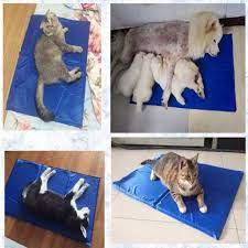 Cool Mat Manta Colchoneta Refrescante Mascota Perro Gato