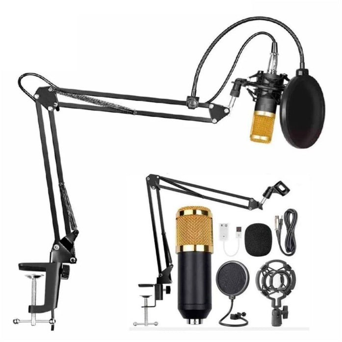 Micrófono Bm800 Condensador Brazo Soporte Pc Estudio Antipop Oro