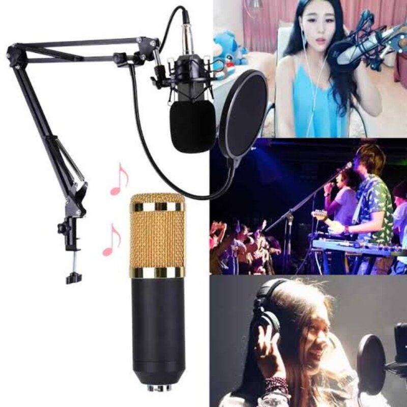 Micrófono Profesional con Consola Tarjeta de Sonido BM-800 Dreizt