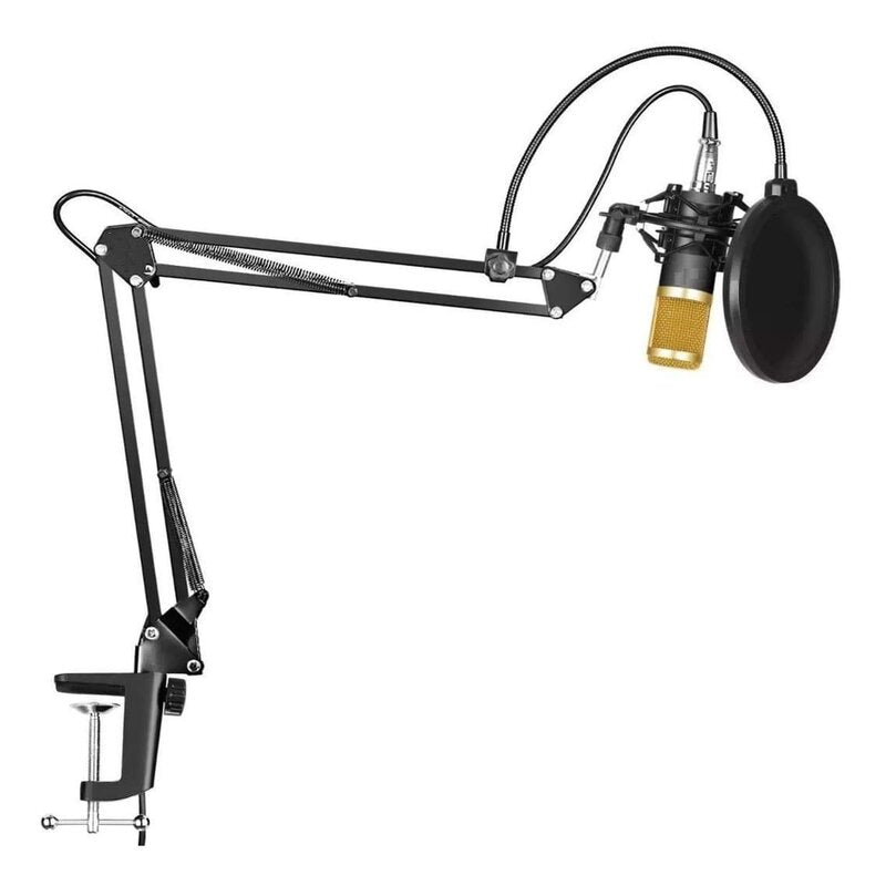 Micrófono Bm800 Condensador Brazo Soporte Pc Estudio Antipop Oro