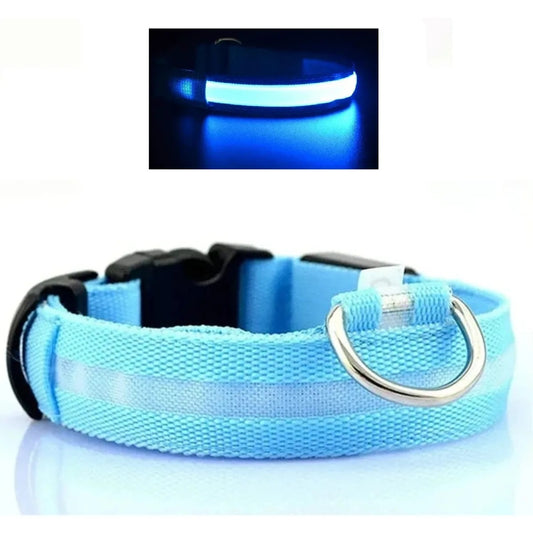 Collar Correa con Luces Mascota Perro Gato Azul