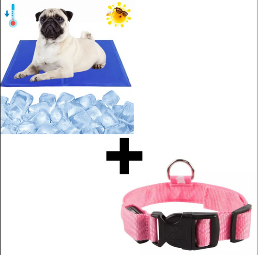 Combo Cool Mat Colchoneta Refrescante Mascota Perro Gato + Collar Correa con Luces Rosado