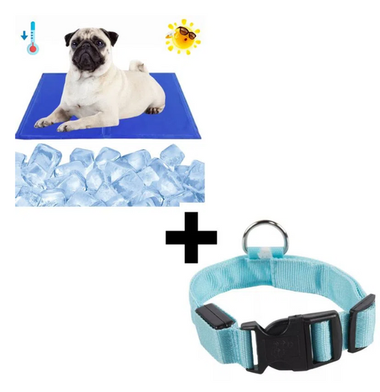 Combo Cool Mat Colchoneta Refrescante Mascota Perro Gato + Collar Correa con Luces Azul