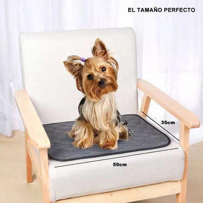 Pañal Manta Absorbente para Orinar para Perros Reutilizable Gris