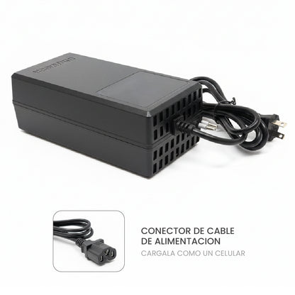 Bicimoto Electrica ZYRO negro