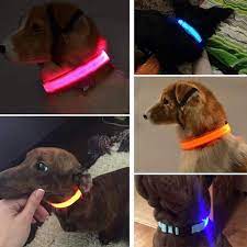 Collar Correa con Luces Mascota Perro Gato Azul