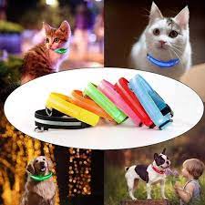 Collar Correa con Luces Mascota Perro Gato Azul