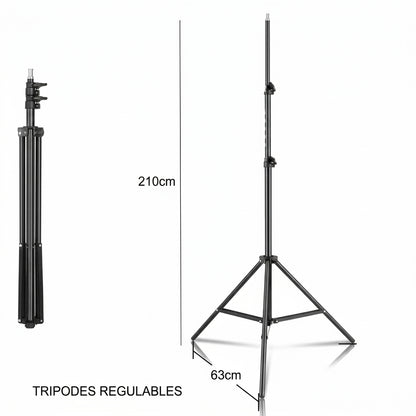 Kit fotografía Interlud profesional video fondo verde + parantes + soft box iluminación + maletín negro FYI260012