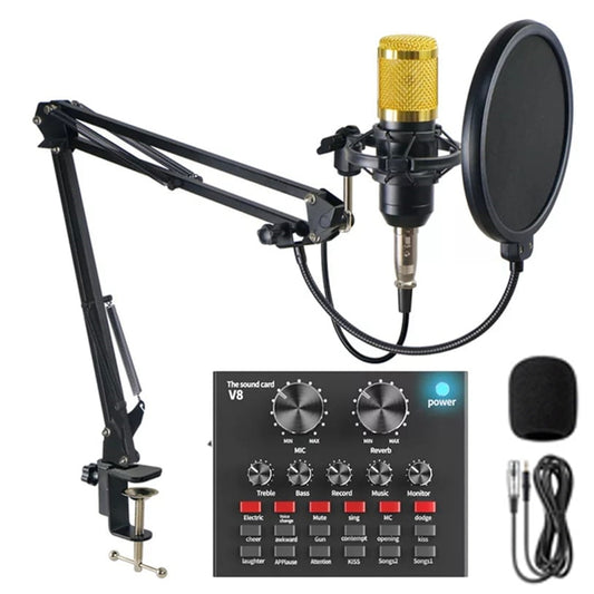 Micrófono Profesional con Consola Tarjeta de Sonido BM-800 Dreizt
