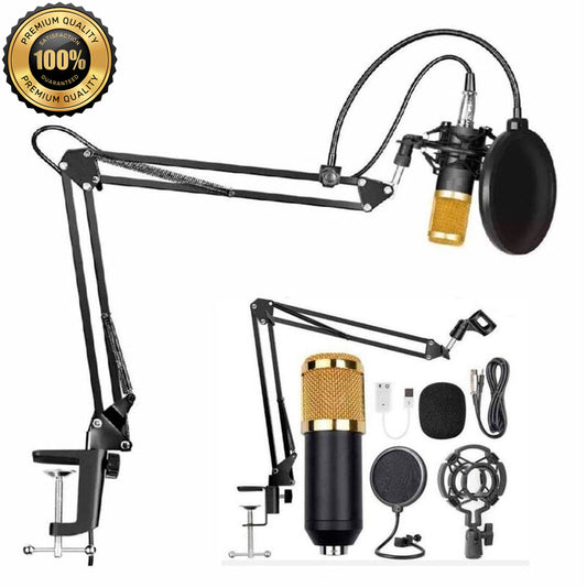 Micrófono Bm800 Condensador Brazo Soporte Pc Estudio Antipop Oro